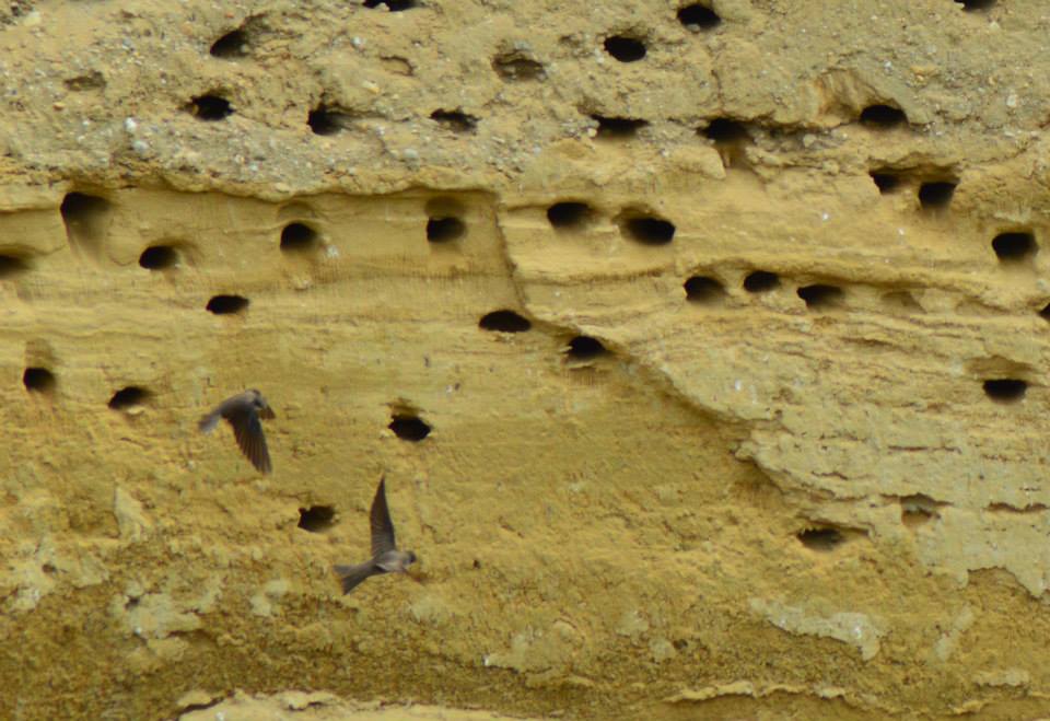 10341576_10152587898919453_7143361770710129921_n